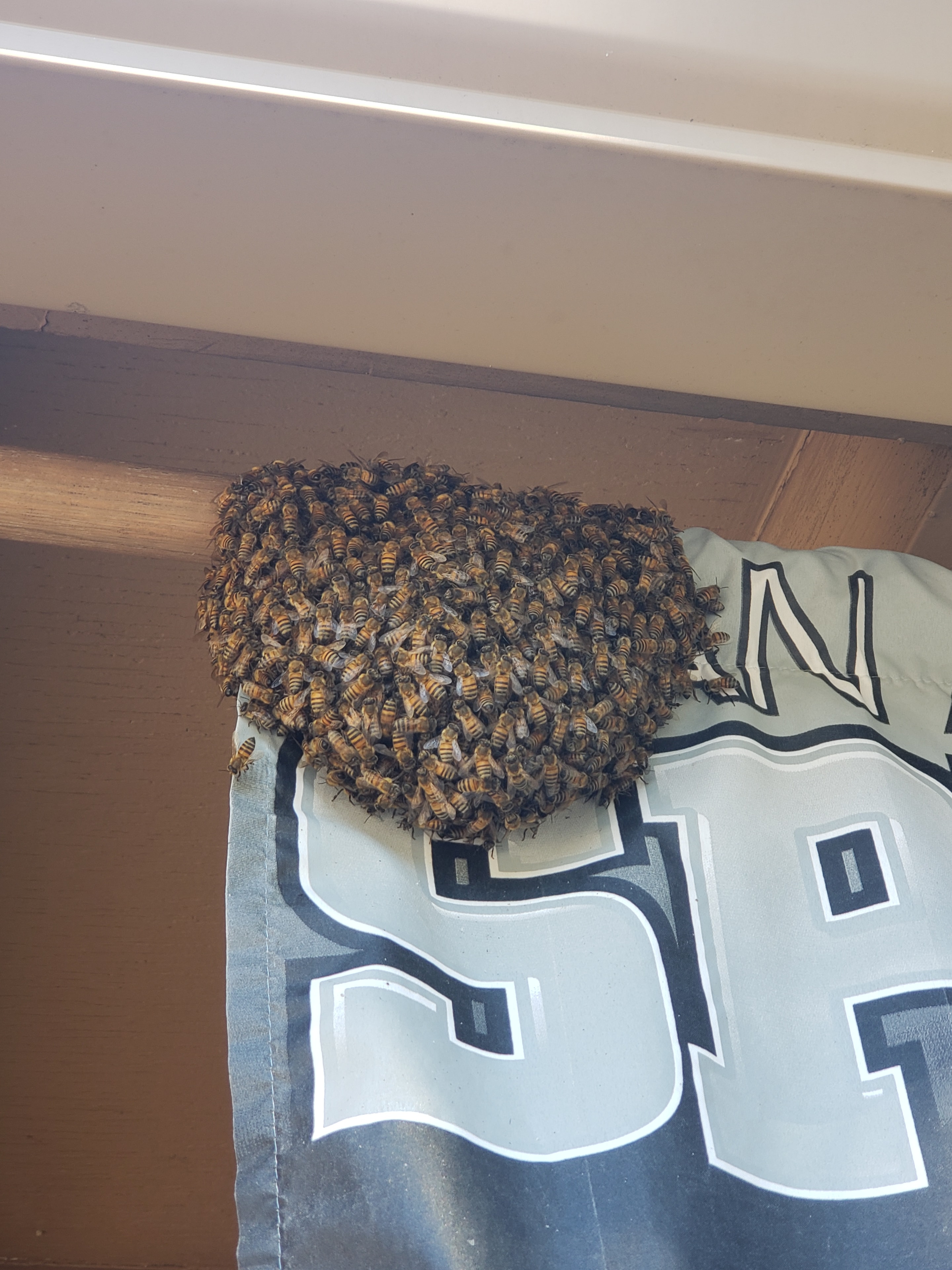 Bee Swarm