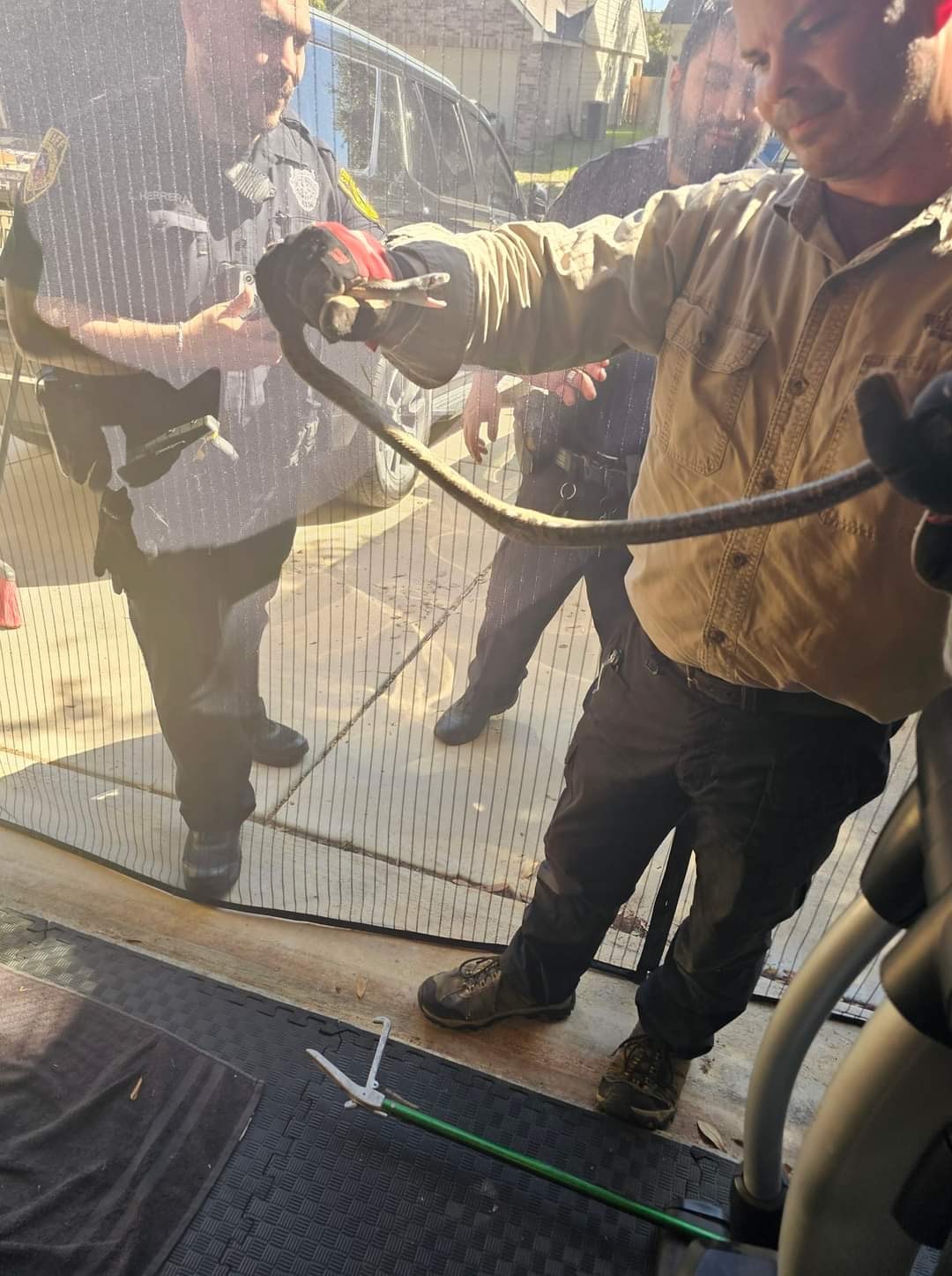Baby Rattler Release